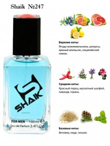 SHAIK № 247 Dolce & Gabbana K By - 100 мл