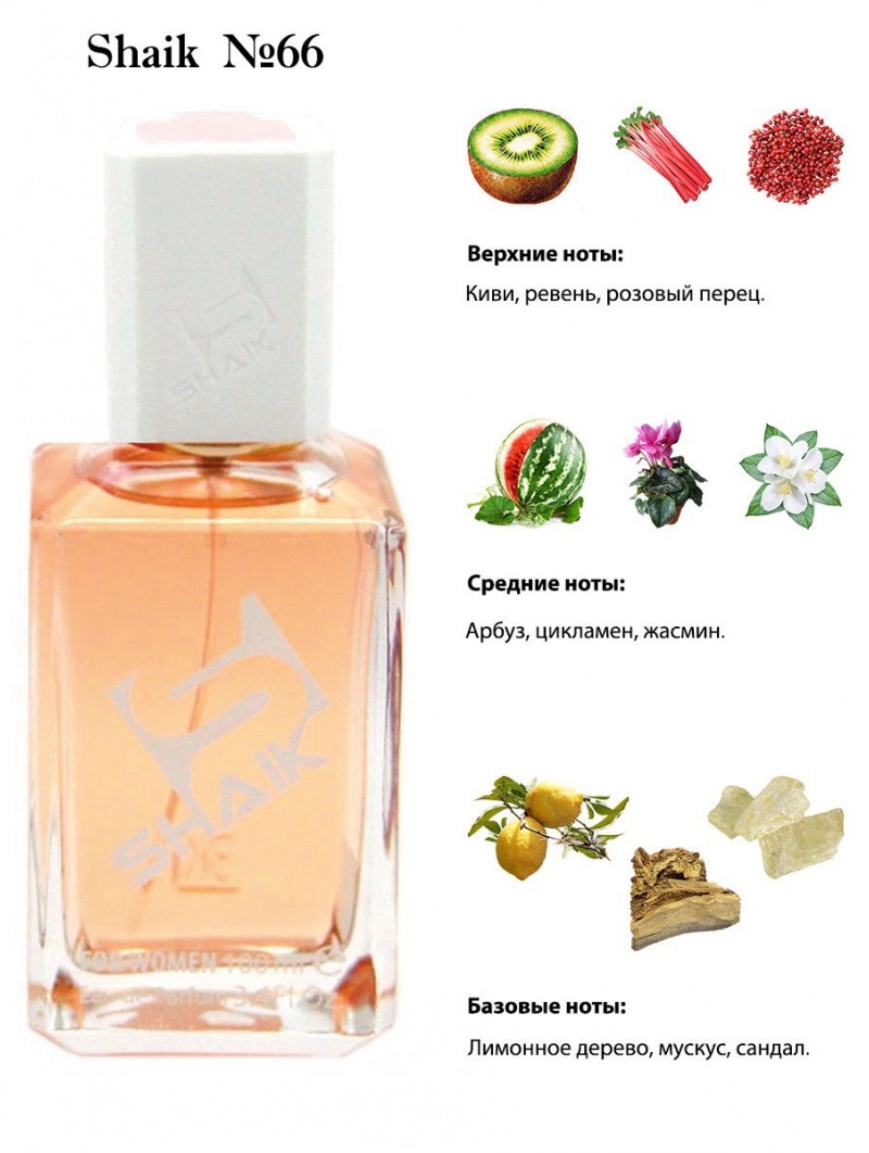 SHAIK № 66 Dolce & Gabbana 3 L’Imperatrice - 100  мл