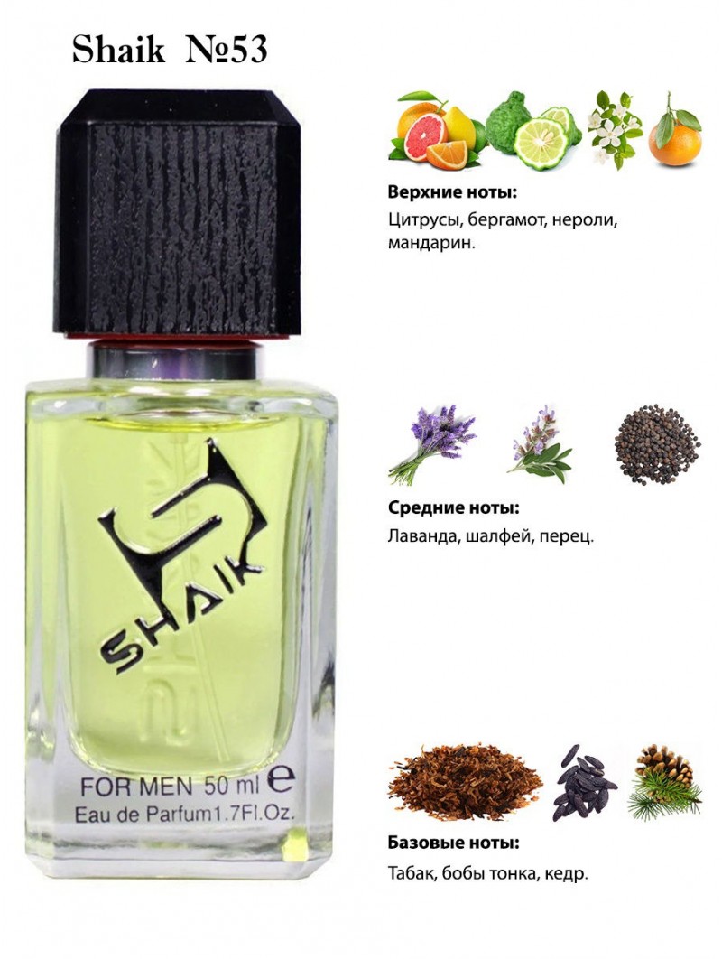 SHAIK № 53 Dolce & Gabbana Pour Homme - 50 мл