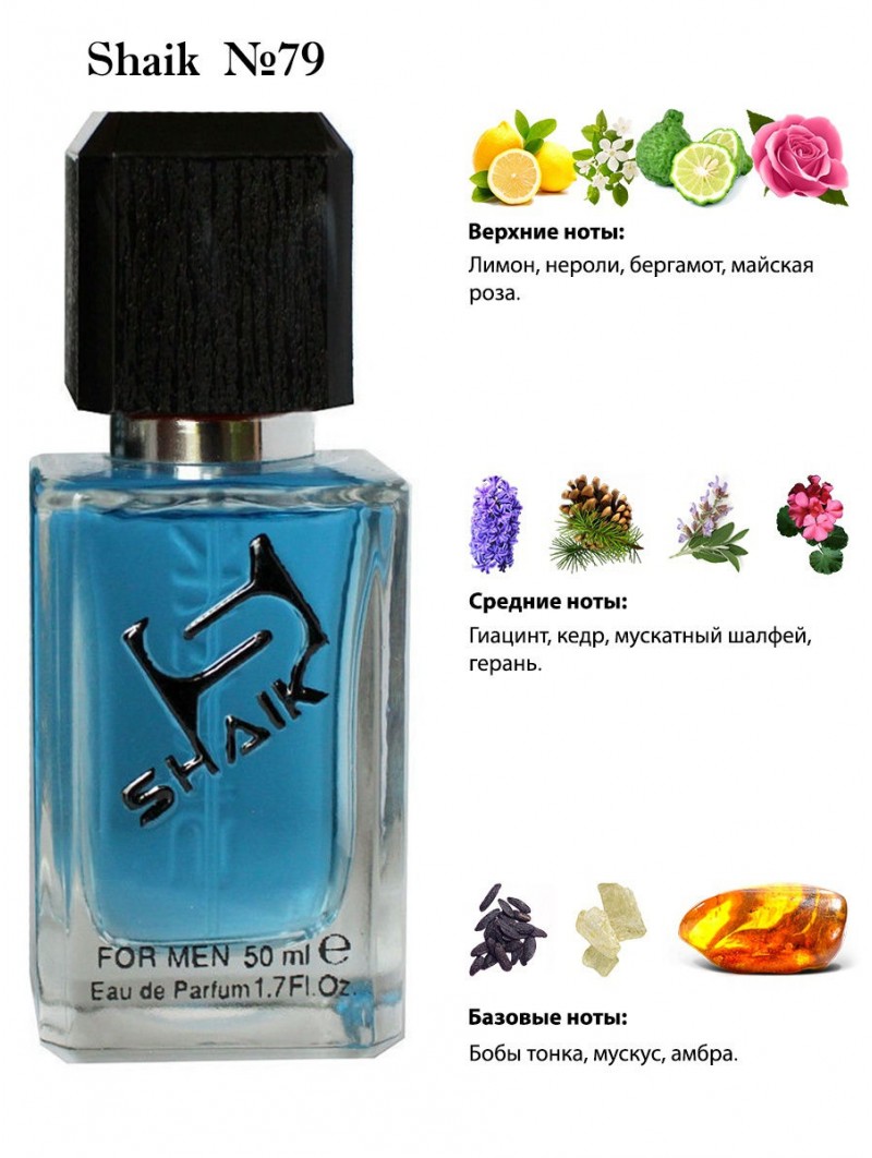 SHAIK № 79 Versace Pour Homme - 50 мл