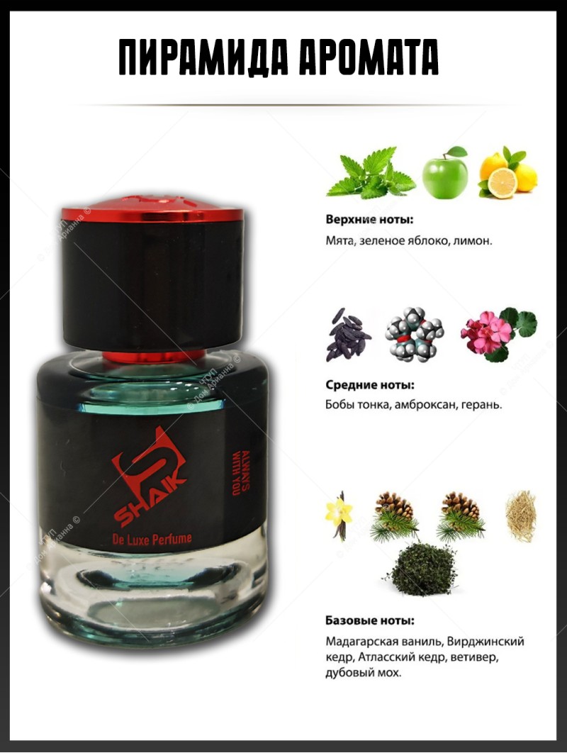 SHAIK № 75 Versace Eros - 25 мл