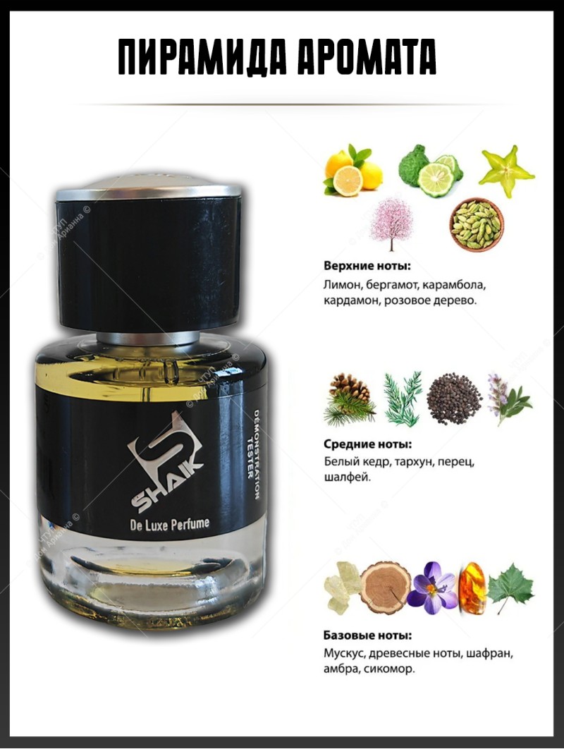 SHAIK № 81 Hugo Boss Boss №6 - 25 мл