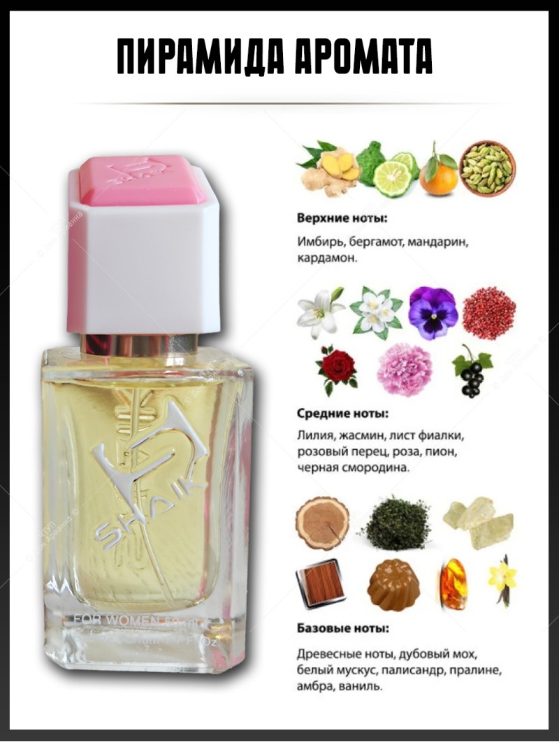 SHAIK № 08 Armand Basi In Red - 50 мл