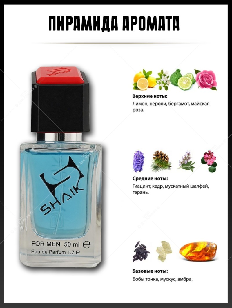 SHAIK № 79 Versace Pour Homme - 50 мл