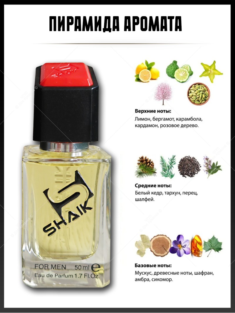 SHAIK № 81 Hugo Boss Boss №6 - 50 мл