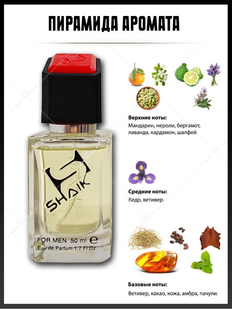 SHAIK № 157 Christian Dior Homme Cologne - 50 мл