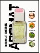SHAIK № 42 Chanel eau Fraiche - 50 мл
